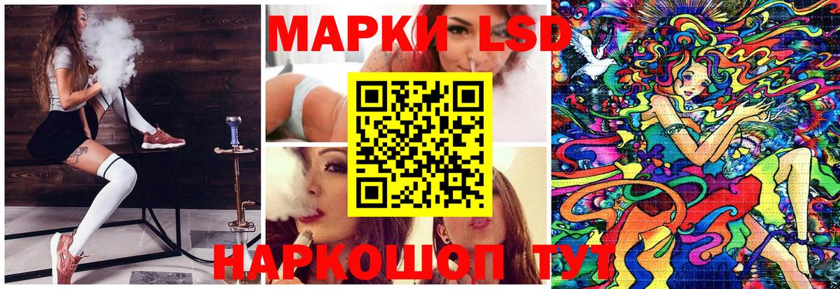 Псилоцибиновые грибы Ковров
