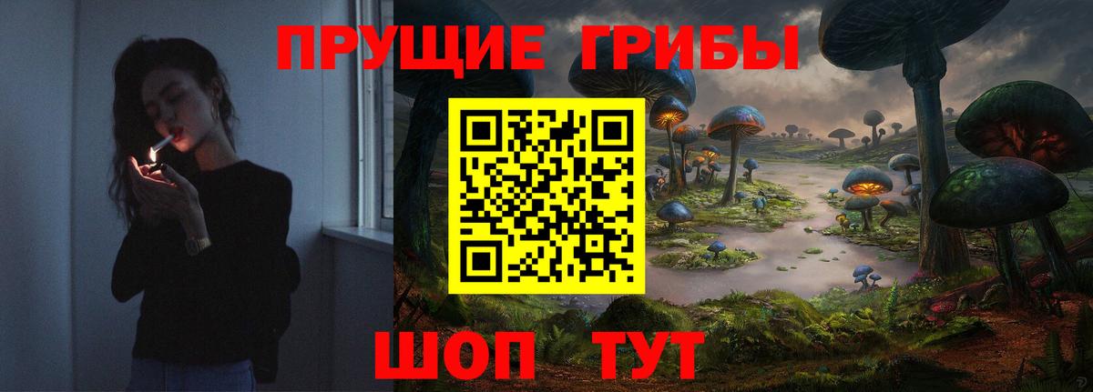 Псилоцибиновые грибы ЛСД  Галлюциногенные грибы Psilocybine cubensis  Ковров  Вход с VPN 
